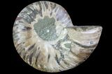 Agatized Ammonite Fossil (Half) - Madagascar #83866-1